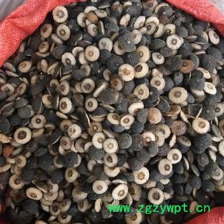 江西湖南枳实对瓣 药枳实含量高 枳实 新货 颜色好 纯干 产地 江西省图3