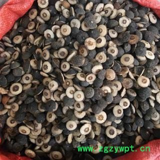 江西湖南枳实对瓣 药枳实含量高 枳实 新货 颜色好 纯干 产地 江西省图2