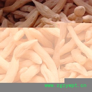 麦冬 无硫麦冬（麦冬）统货  产地 山东省图2