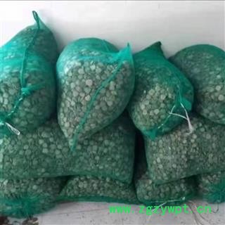 木鳖子 统货 产地 广西壮族自治区图4