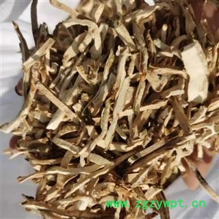 香橼 香橼统丝 产地 广西壮族自治区图3