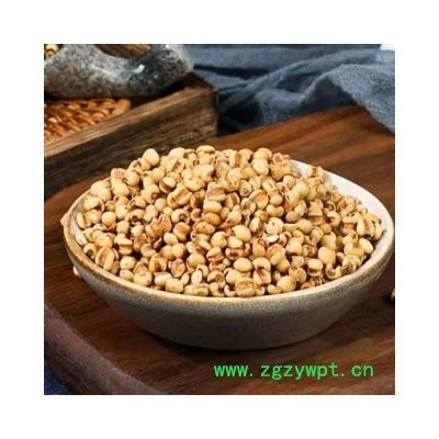 薏苡仁 统货炒薏苡仁 产地 贵州省