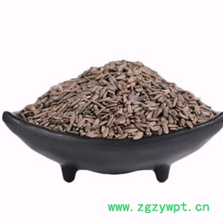 牛蒡子 牛蒡子净货 产地 山西省图3