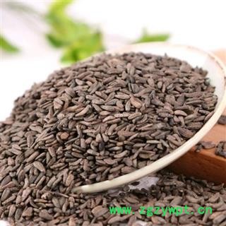 牛蒡子 牛蒡子净货 产地 山西省图2