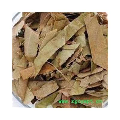 枇杷 批把叶 巴叶 统货 产地 浙江省