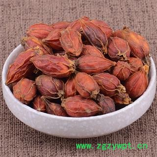 福建栀子黄栀子山栀子山黄枝统货枝子 产地 福建省木丹栀子大货批发山黄栀各种规格图2