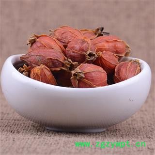 福建栀子黄栀子山栀子山黄枝统货枝子 产地 福建省木丹栀子大货批发山黄栀各种规格图4