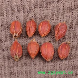 福建栀子黄栀子山栀子山黄枝统货枝子 产地 福建省木丹栀子大货批发山黄栀各种规格图3