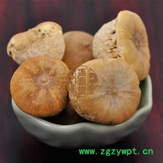风流果 龟头子 天竺粒 补肾果,益肾子,马牯 统货 产地 广西 货真价实 批发各种规格中药材 花茶 矿石 野生冷背中药材图2
