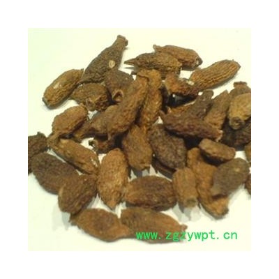 木天蓼子  木天蓼果 统货 产地 湖北省 正品 包含量 本店经营品3000余种中药材冷背中药材【安徽省冰源堂药业】