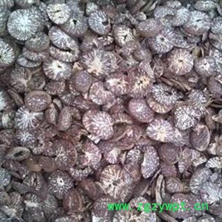 槟榔 统货 产地 广西壮族自治区玉林市博白县 安徽省冰源堂药业图2