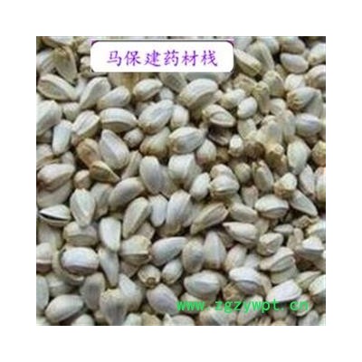 红花子 红花籽 产地 新疆维吾尔自治区