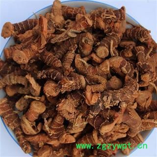 高良姜 高良姜统个 产地 广西壮族自治区图2