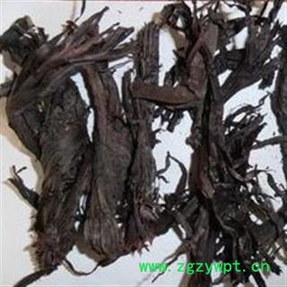 紫草 新疆软紫草统个 产地 新疆维吾尔自治区图2