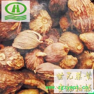 世元药业 草果 草果仁 草果子 老蔻 玉果 批发各种等级调料 一级大果图2