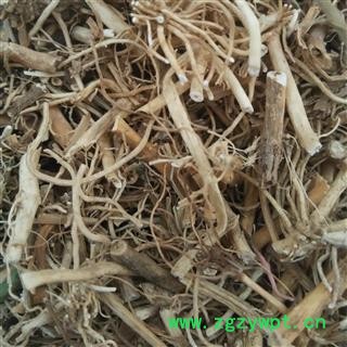 白前 统货水洗 产地 四川省图2