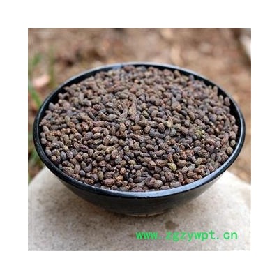 女贞子 女贞子腰果净货 产地 陕西省秦岭山区