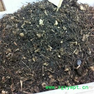 威灵仙  统  优质 批发零售各种规格中药材 产地 吉林省图3