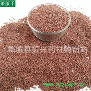 【振兴药材】中药材批发供应【炒莱菔子】图3