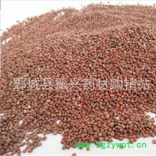 【振兴药材】中药材批发供应【炒莱菔子】图4