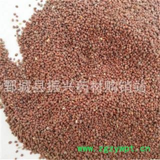 【振兴药材】中药材批发供应【炒莱菔子】图2