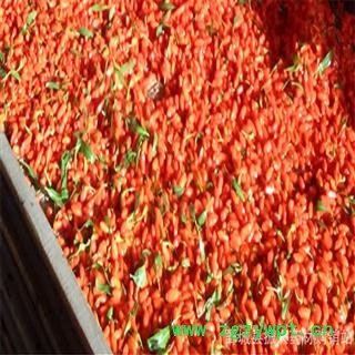 枸杞 宁夏枸杞280 产地 宁夏 振兴中药 产地直销 重在品质图4