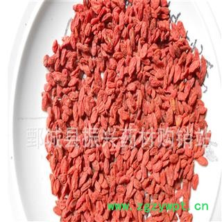 枸杞 宁夏枸杞280 产地 宁夏 振兴中药 产地直销 重在品质图3