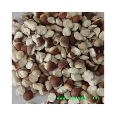 芡实 芡实10厘个产地 广东省 振兴中药 产地直销 重在品质