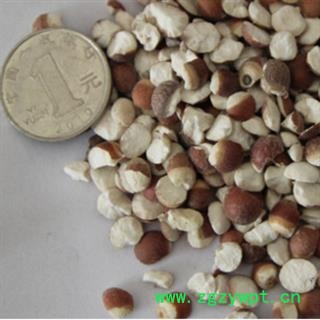 芡实 芡实10厘个产地 广东省 振兴中药 产地直销 重在品质图2