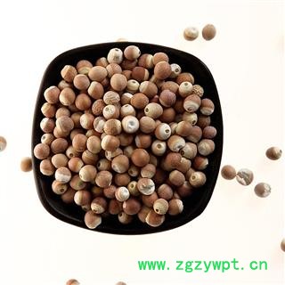 芡实 芡实10厘 产地 广东省振兴中药 产地直销 重在品质图4