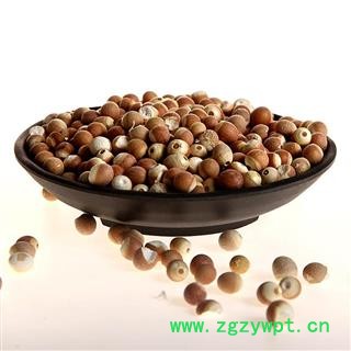 芡实 芡实10厘 产地 广东省振兴中药 产地直销 重在品质图3