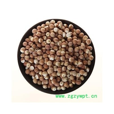 芡实 芡实10厘 产地 广东省振兴中药 产地直销 重在品质