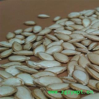 南瓜子  白南瓜子 统货 产地 河北省图2