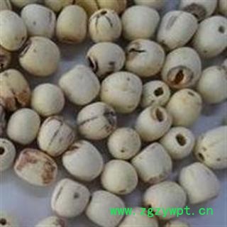 莲子 白莲子 统货 优质 产地 湖南省 过药检  【做良心药 道地药材 冷背药材 品种齐全】图2
