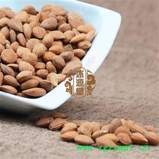 苦杏仁 杏仁统货 产地 内蒙古自治区图4