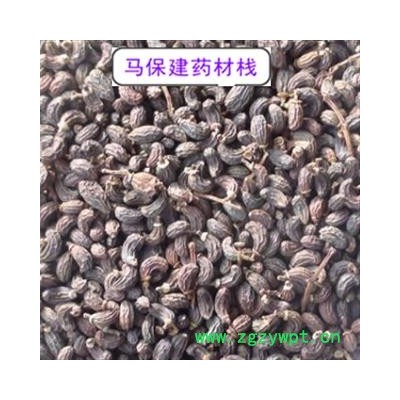 女贞子 女贞子腰果净货 产地 山东省