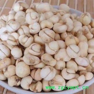 川贝母 川松贝0.6-0.78 产地 四川省图2