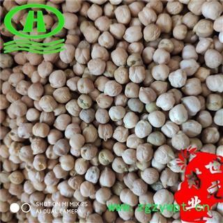 世元药业 降糖豆 正品 鹰嘴豆 桃尔豆 鸡心豆 回鹘豆 桃豆 鸡豆 诺胡提 羊角状鹰嘴豆图2