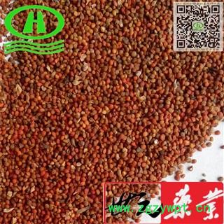 世元药业 褚实子 正品 别称-彀木子 纱纸树 构树子 壳树 鹿仔树图2