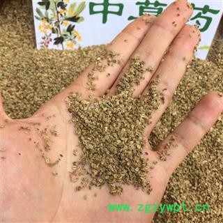广西壮乡中草药 野生 小籽 手采 纯净货 含量高 蛇床子 产地直销 产地 广西柳州图4