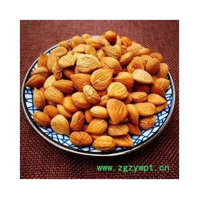 苦杏仁 苦杏仁选货 产地 陕西省商洛市市辖区