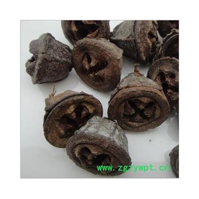 云南一口钟 1000克