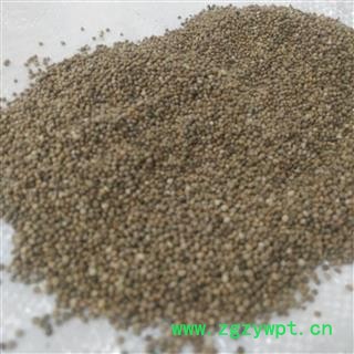 苏子 紫苏子 优质 统 道地精品 质优价廉 产地 河北省邢台市临城县图2