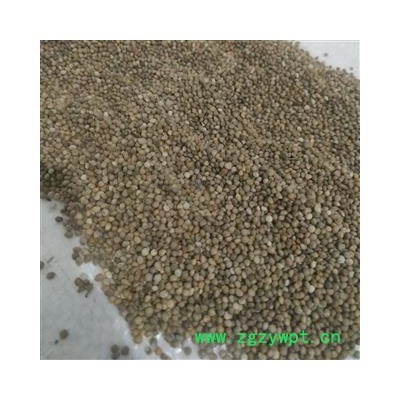 苏子 紫苏子 优质 统 道地精品 质优价廉 产地 河北省邢台市临城县