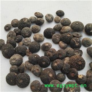 振兴中药材批发 【江西枳实】图4