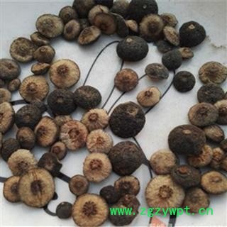 振兴中药材批发 【江西枳实】图2