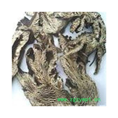 升麻 好统货  产地 吉林省