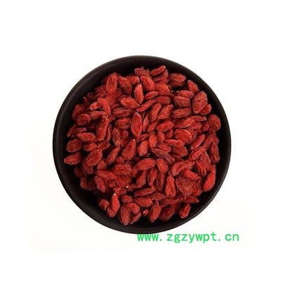 枸杞 宁夏枸杞180 产地 宁夏 振兴中药 产地直销 重在品质