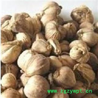 白豆蔻 统货 产地 广西壮族自治区钦州市浦北县图2