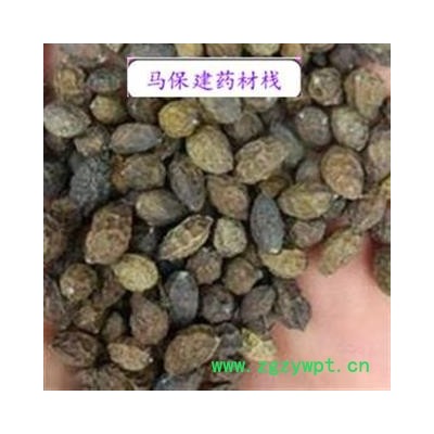 鸦胆子 鸦胆子统货 产地 广西壮族自治区